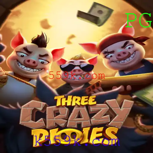 Descubra o Mundo de ThreeCrazyPiggies e Sua Conexão com 559k.com